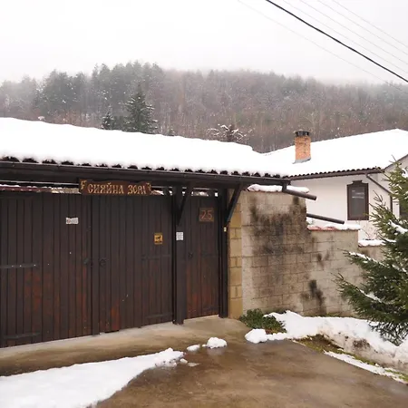 сияйна зора 펜션