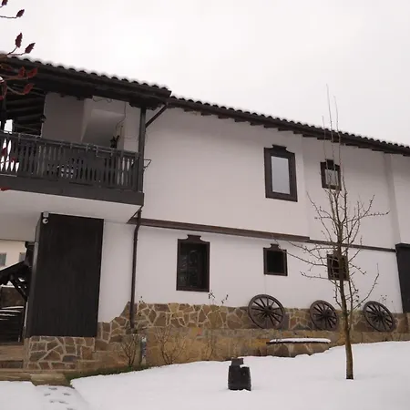 сияйна зора