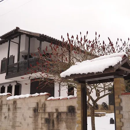 сияйна зора * Plachkovtsi