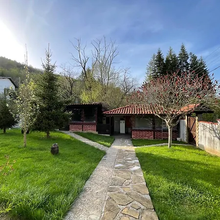 сияйна зора 펜션 Plachkovtsi