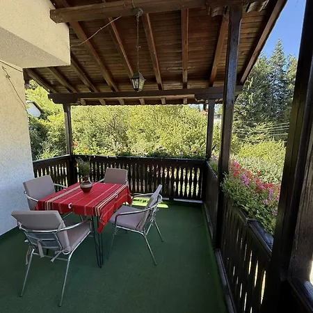 сияйна зора *