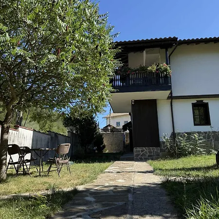 сияйна зора * Plachkovtsi