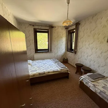 сияйна зора Plachkovtsi