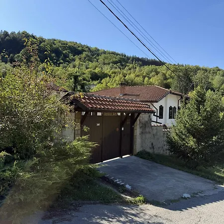сияйна зора *