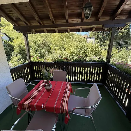 сияйна зора Plachkovtsi