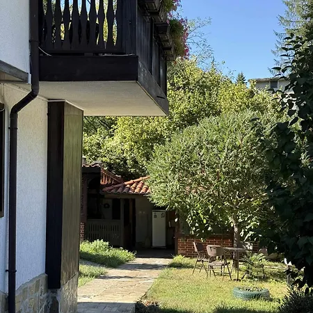 сияйна зора * Plachkovtsi