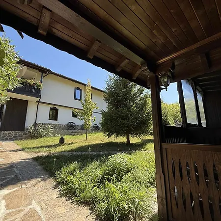 сияйна зора *