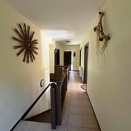 сияйна зора Plachkovtsi