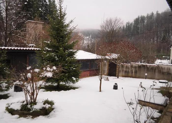 сияйна зора *