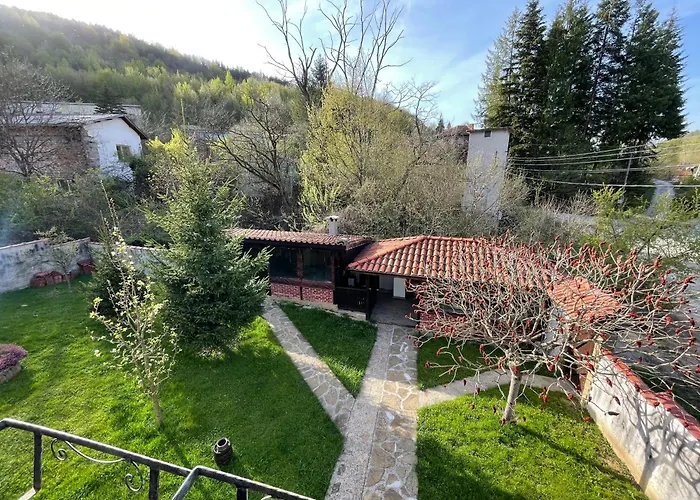 сияйна зора