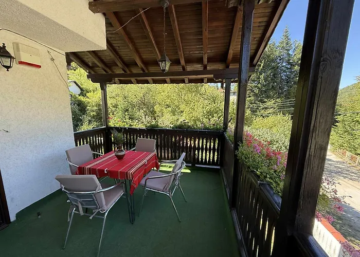 сияйна зора *