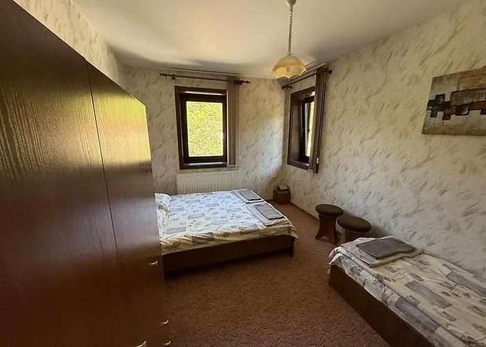 сияйна зора Plachkovtsi