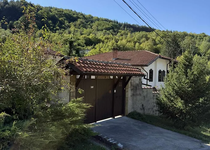 сияйна зора *