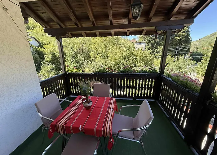 сияйна зора Plachkovtsi