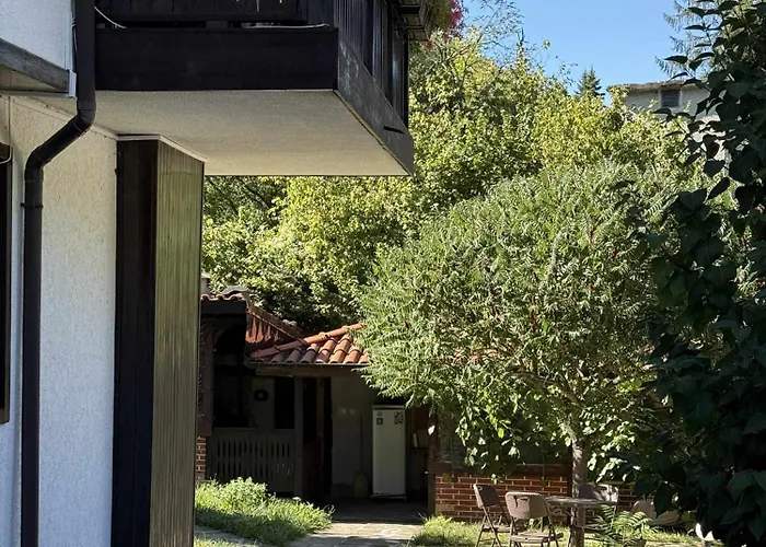 сияйна зора * Plachkovtsi