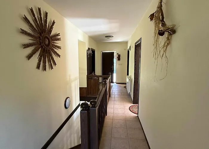 сияйна зора Plachkovtsi