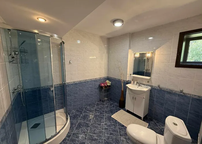 сияйна зора